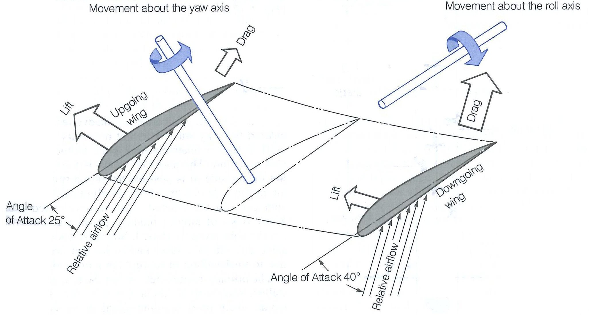 Forces in a Spin from the Canadian Flight Training Handbook.  Langley Flying School.