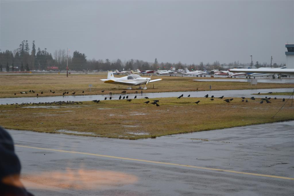 Spring is on the way!!